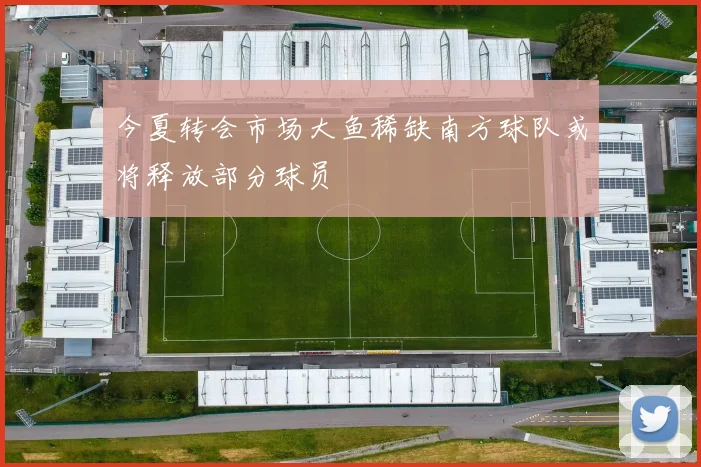 今夏转会市场大鱼稀缺南方球队或将释放部分球员
